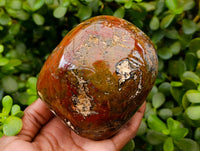 Polished Ocean Jasper Standing Free Form x 3 From Madagascar - Toprock Gemstones and Minerals