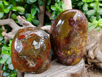 Polished Ocean Jasper Standing Free Form x 3 From Madagascar - Toprock Gemstones and Minerals