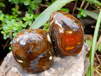 Polished Ocean Jasper Standing Free Form x 3 From Madagascar - Toprock Gemstones and Minerals
