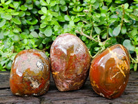 Polished Ocean Jasper Standing Free Form x 3 From Madagascar - Toprock Gemstones and Minerals