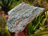 Natural Drusy Coated Chrysocolla and Malachite Specimens x 2 From Likasi, Congo - Toprock Gemstones and Minerals