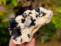 Natural Schorl Black Tourmaline with Hyalite Opal x 6 From Erongo, Namibia - Toprock Gemstones and Minerals