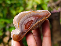 Polished One Sided Red Sashe River Agate Nodules x 35 from Sashe River, Zimbabwe - Toprock Gemstones and Minerals