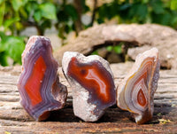 Polished One Sided Red Sashe River Agate Nodules x 35 from Sashe River, Zimbabwe - Toprock Gemstones and Minerals