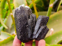 Natural Schorl Black Tourmaline with Orthoclase x 6 From Erongo, Namibia - Toprock Gemstones and Minerals