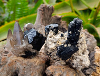 Natural Schorl Black Tourmaline with Orthoclase x 6 From Erongo, Namibia - Toprock Gemstones and Minerals