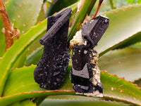 Natural Schorl Black Tourmaline with Orthoclase x 6 From Erongo, Namibia - Toprock Gemstones and Minerals