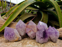 Natural Jacaranda Amethyst Quartz Crystals x 6 From Mumbwa, Zambia - Toprock Gemstones and Minerals