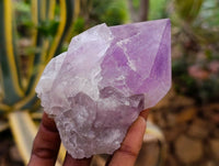 Natural Jacaranda Amethyst Quartz Crystals x 6 From Mumbwa, Zambia - Toprock Gemstones and Minerals