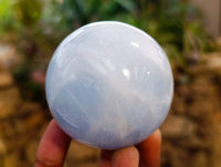 Polished Blue Calcite Spheres x 3 From Madagascar - Toprock Gemstones and Minerals