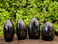 Polished Black Tourmaline Standing Free Forms x 4 From Madagascar - Toprock Gemstones and Minerals