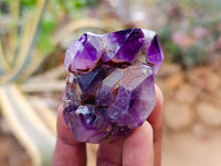 Polished Smokey Window Amethyst Quartz Crystals x 12 From Akansobe, Madagascar - Toprock Gemstones and Minerals