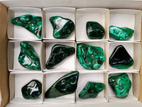 Polished Flower Banded Malachite Free Forms x 12 From Congo - Toprock Gemstones and Minerals