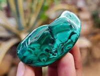 Polished Flower Banded Malachite Free Forms x 12 From Congo - Toprock Gemstones and Minerals