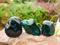 Polished Flower Banded Malachite Free Forms x 12 From Congo - Toprock Gemstones and Minerals