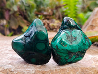 Polished Flower Banded Malachite Free Forms x 12 From Congo - Toprock Gemstones and Minerals