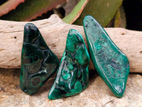 Polished Flower Banded Malachite Free Forms x 12 From Congo - Toprock Gemstones and Minerals