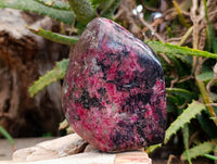 Polished Rhodonite Standing Free Forms x 1 From Rhusinga, Zimbabwe - Toprock Gemstones and Minerals