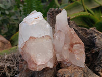 Natural Clear Quartz Clusters x 6 From Mpika, Zambia - Toprock Gemstones and Minerals