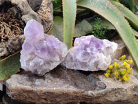 Natural Jacaranda Amethyst Quartz Clusters x 2 From Mumbwa, Zambia - Toprock Gemstones and Minerals