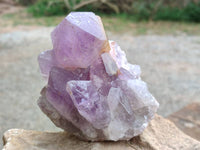 Natural Jacaranda Amethyst Quartz Clusters x 2 From Mumbwa, Zambia - Toprock Gemstones and Minerals