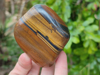 Polished Golden Tiger's Eye Free Forms x 6 From Prieska, South Africa - Toprock Gemstones and Minerals