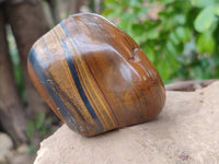 Polished Golden Tiger's Eye Free Forms x 6 From Prieska, South Africa - Toprock Gemstones and Minerals