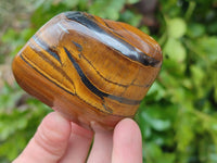 Polished Golden Tiger's Eye Free Forms x 6 From Prieska, South Africa - Toprock Gemstones and Minerals