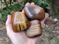 Polished Golden Tiger's Eye Free Forms x 6 From Prieska, South Africa - Toprock Gemstones and Minerals