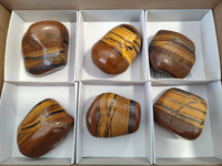 Polished Golden Tiger's Eye Free Forms x 6 From Prieska, South Africa - Toprock Gemstones and Minerals