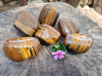 Polished Golden Tiger's Eye Free Forms x 6 From Prieska, South Africa - Toprock Gemstones and Minerals