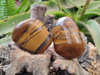 Polished Golden Tiger's Eye Free Forms x 6 From Prieska, South Africa - Toprock Gemstones and Minerals