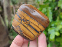 Polished Golden Tiger's Eye Free Forms x 6 From Prieska, South Africa - Toprock Gemstones and Minerals