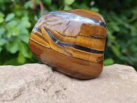 Polished Golden Tiger's Eye Free Forms x 6 From Prieska, South Africa - Toprock Gemstones and Minerals