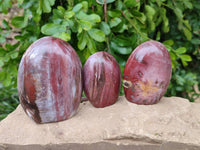 Polished Podocarpus Petrified Wood Standing Free Forms + 1 Gallet x 12 From Mahajanga, Madagascar - Toprock Gemstones and Minerals