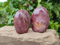 Polished Podocarpus Petrified Wood Standing Free Forms + 1 Gallet x 12 From Mahajanga, Madagascar - Toprock Gemstones and Minerals