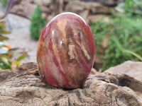 Polished Podocarpus Petrified Wood Standing Free Forms + 1 Gallet x 12 From Mahajanga, Madagascar - Toprock Gemstones and Minerals