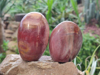 Polished Podocarpus Petrified Wood Standing Free Forms + 1 Gallet x 12 From Mahajanga, Madagascar - Toprock Gemstones and Minerals