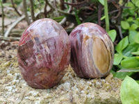 Polished Podocarpus Petrified Wood Standing Free Forms + 1 Gallet x 12 From Mahajanga, Madagascar - Toprock Gemstones and Minerals