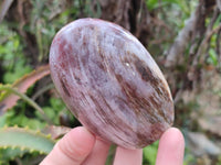 Polished Podocarpus Petrified Wood Standing Free Forms + 1 Gallet x 12 From Mahajanga, Madagascar - Toprock Gemstones and Minerals