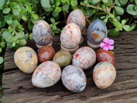 Polished Mixed Selected Multi Mineral Eggs x 12 From Southern Africa - Toprock Gemstones and Minerals