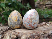 Polished Mixed Selected Multi Mineral Eggs x 12 From Southern Africa - Toprock Gemstones and Minerals
