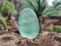 Polished Green Fluorite Gallets x 20  From Madagascar - Toprock Gemstones and Minerals