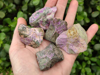Natural Cobbed Stichtite Specimens x 35 From Barberton, South Africa - Toprock Gemstones and Minerals