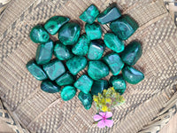 Polished Flower Banded Malachite Free Forms x 35 From Congo - Toprock Gemstones and Minerals
