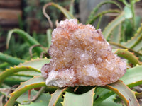 Natural Amethyst Spirit Quartz Clusters x 6 From Boekenhouthoek, South Africa - Toprock Gemstones and Minerals