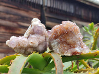 Natural Amethyst Spirit Quartz Clusters x 6 From Boekenhouthoek, South Africa - Toprock Gemstones and Minerals