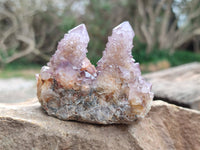 Natural Amethyst Spirit Quartz Clusters x 6 From Boekenhouthoek, South Africa - Toprock Gemstones and Minerals