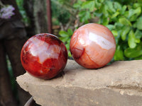 Polished Carnelian Spheres x 5 From Madagascar - Toprock Gemstones and Minerals