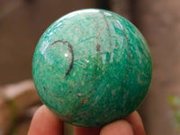 Polished Mixed Selected Multi Mineral Specimens x 17 From Southern Africa - Toprock Gemstones and Minerals